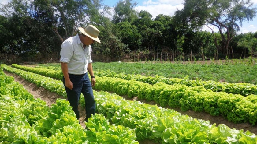 Segundo curso oficial de Asesores en BPA Frutihortícola Obligatorias