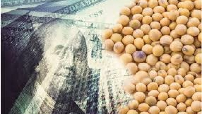 Se sumaría el dólar leche y ya se habla de un nuevo dólar soja a partir de agosto