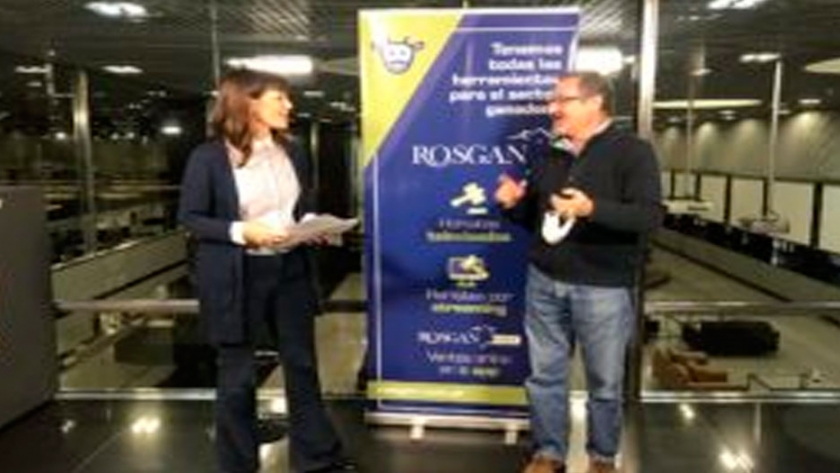 Fiesta ganadera: impresionante recuperación de precios de vacas gordas y hacienda con destino a invernada en el remate del Rosgan