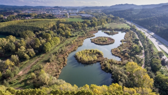 El ADN ambiental revoluciona la conservación de ecosistemas en humedales catalanes