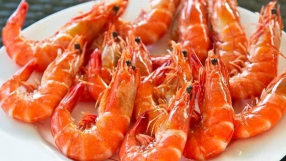 El langostino argentino obtuvo la certificación internacional que avala su pesca sostenible