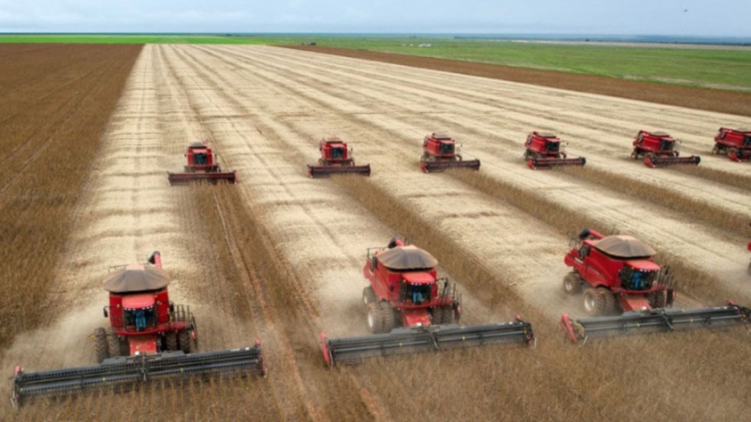 En menos de dos años, Brasil conquistó 100 nuevos mercados por sus productos agrícolas y agroindustriales
