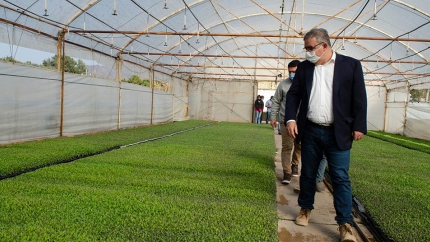 Raúl visitó el vivero "Los Aromos" en Fray Mamerto Esquiú y la finca "Nueva Esperanza"