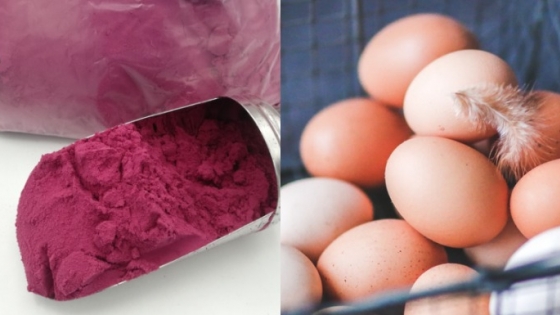 Productores de huevos prueban colorante natural creado en Chile para reemplazar el artificial