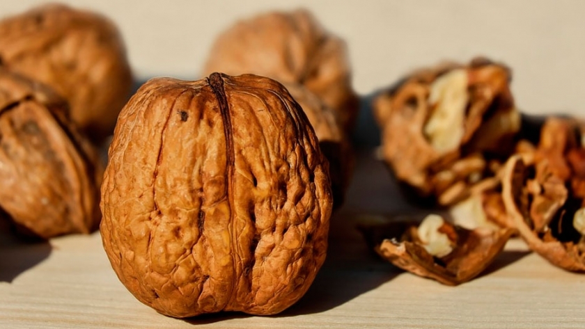 Interés italiano por los frutos secos rionegrinos