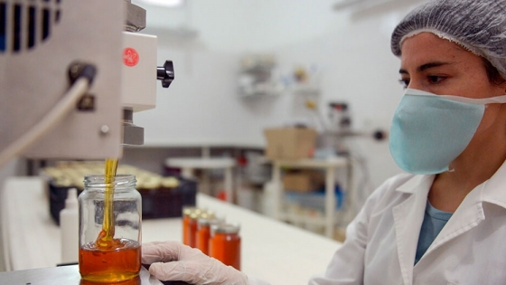 Chaco se afianza en la producción de miel orgánica certificada para exportar a Europa