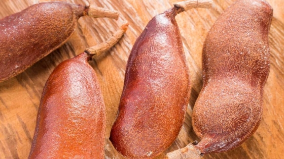 Descubren que un árbol tropical poco aprovechado puede ser clave como alimento y medicina natural