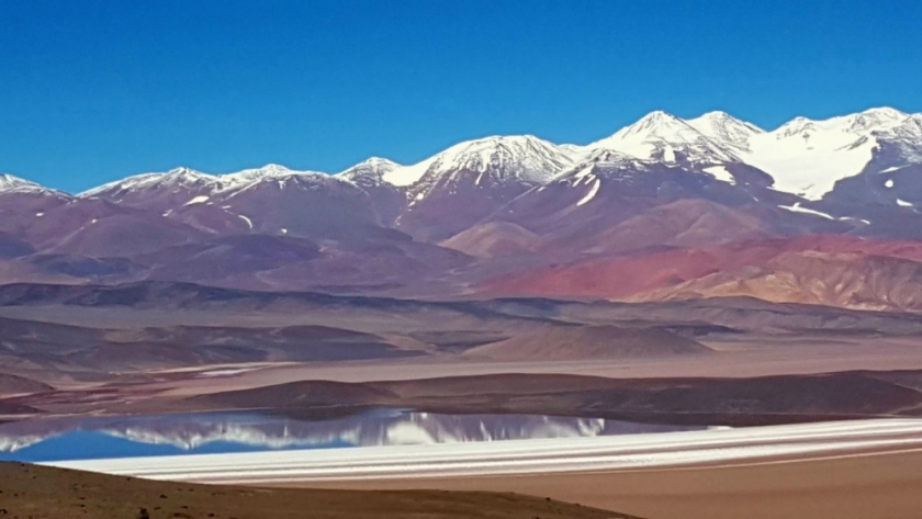 Medio Ambiente junto al CONICET dialogaron por licencias y accesos a los recursos biológicos de la provincia
