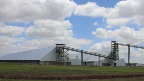 Adecoagro mejora sus resultados pese al retroceso del agro argentino y se apoya en el salto del negocio de fertilizantes