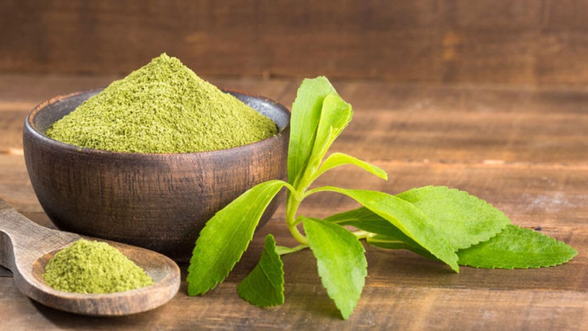 Stevia: certificación orgánica como agregado de valor
