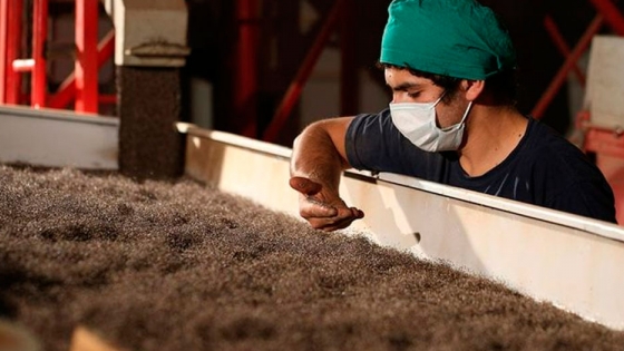 Paraguay es el principal productor mundial de chía