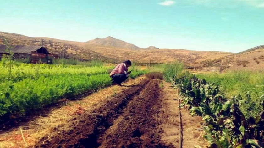El Huecú celebra la llegada de obras de desarrollo rural por 11 millones de pesos