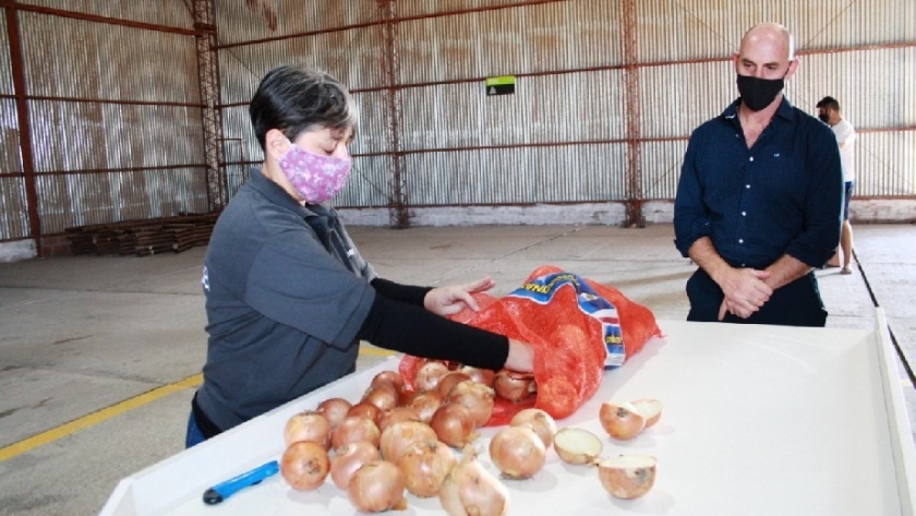 Río Colorado: inauguran un nuevo control fitosanitario para cebolla de exportación
