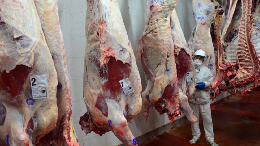 Carne: caería la faena de hacienda y el ingreso de divisas