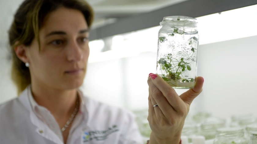 Agricultura convoca a la Primera Mesa de Innovación en Bioeconomía