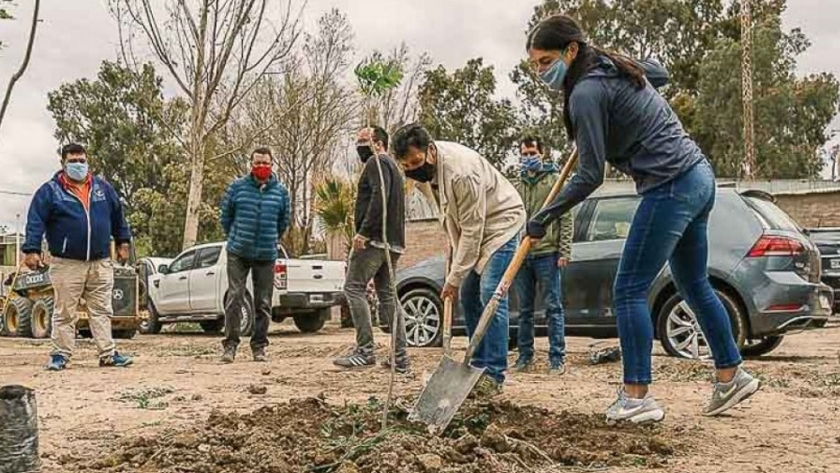 Comenzó a implementarse el Plan de Forestación