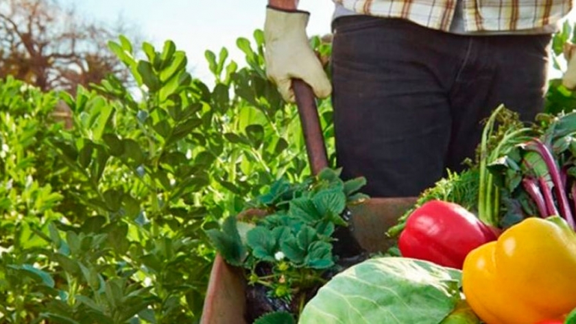 Crean la Mesa Territorial Agroindustrial de Mendoza