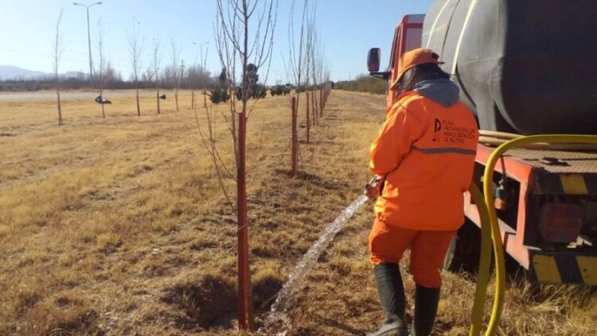La forestación en ruta, una nueva disciplina dentro de la actividad para la mitigación ambiental, la mejora del paisaje y la generación de empleo