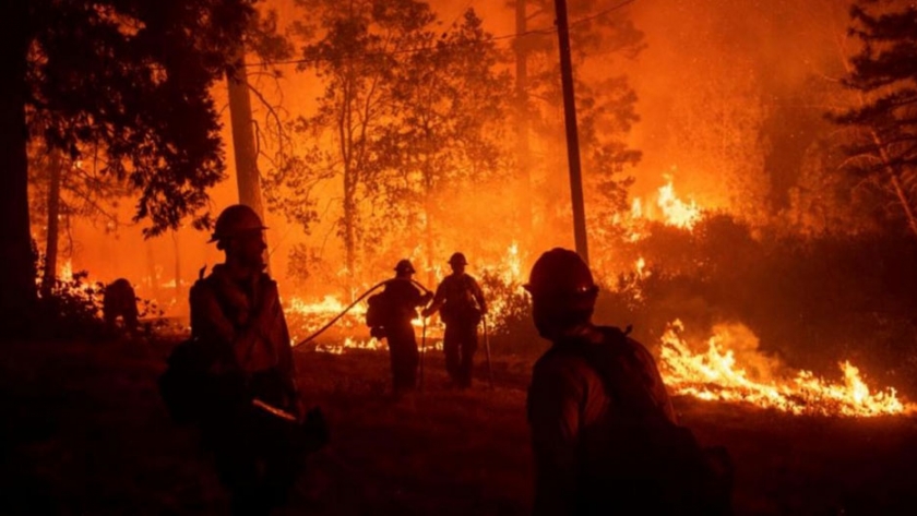 Incendios en América Latina: la catástrofe que está afectando a gran parte del continente americano
