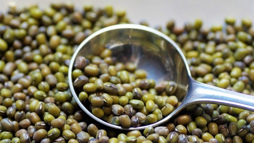 Productores agrícolas de Córdoba exportaron poroto mung al Sudeste Asiático