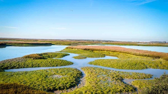 Marismas del Tuyú, el destino escondido de Buenos Aires