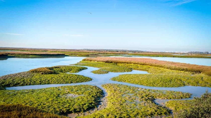 Marismas del Tuyú, el destino escondido de Buenos Aires