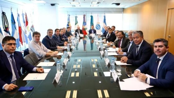 Provincias en tensión: críticas por el ajuste y respaldo al plan de blanqueo de dólares de Milei