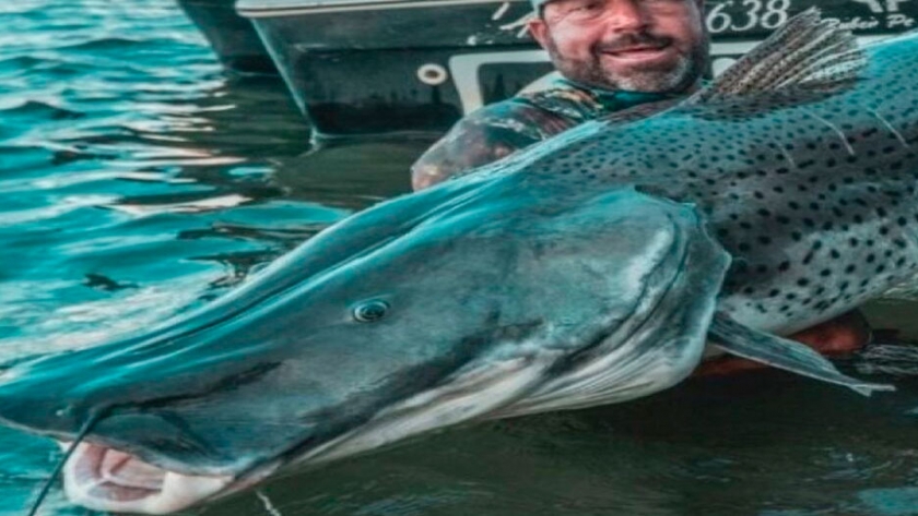 Río Paraná: pescan en Corrientes un surubí de casi dos metros