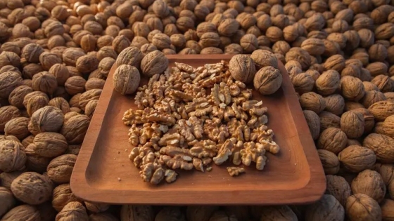 Histórico: 40 toneladas de nueces de Neuquén llegan a Azerbaiyán