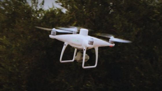 INTA lidera innovación: crean la primera red de drones agropecuarios en Latinoamérica