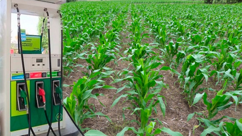 Respaldan proyecto de ley del Plan Nacional de Biocombustibles