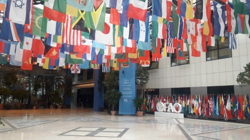 FAO: investigadora del INTA lidera el grupo de trabajo sobre Recursos Genéticos