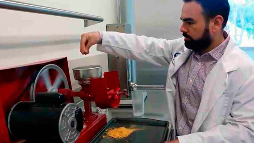 Crean una harina nutritiva de zanahoria que previene enfermedades crónicas