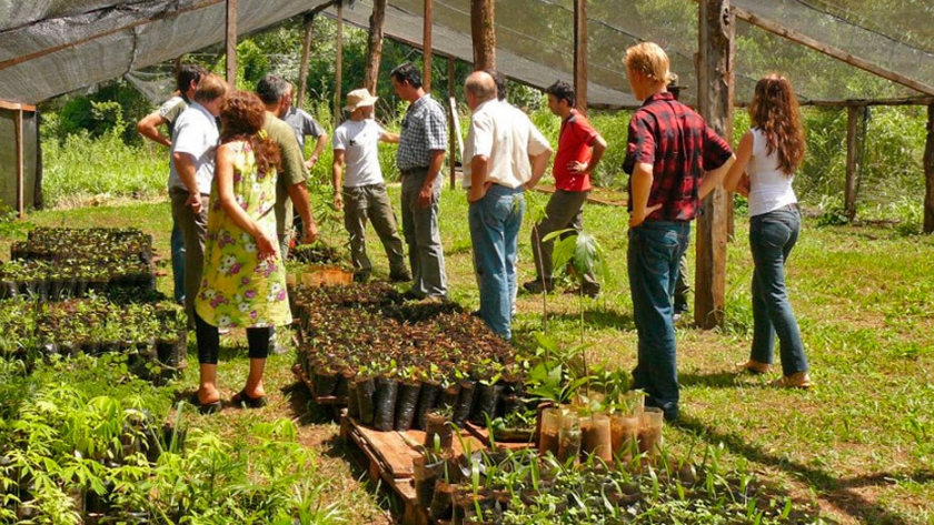 Alumnos crean un vivero forestal de especies autóctonas de la Argentina