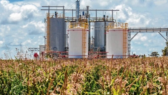Biocombustibles: temen que quiebren empresas si el Gobierno no fija retribuciones adecuadas