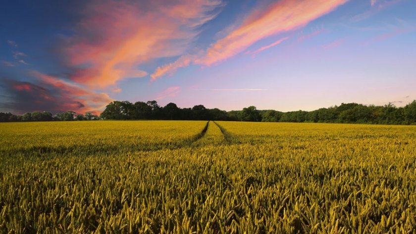 La reforma agrícola de la UE enfrenta a los agricultores con los ecologistas