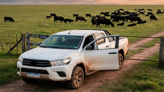 Mejora el poder de compra de la ganadería: en julio se necesitaron menos animales para adquirir una pickup 0 km