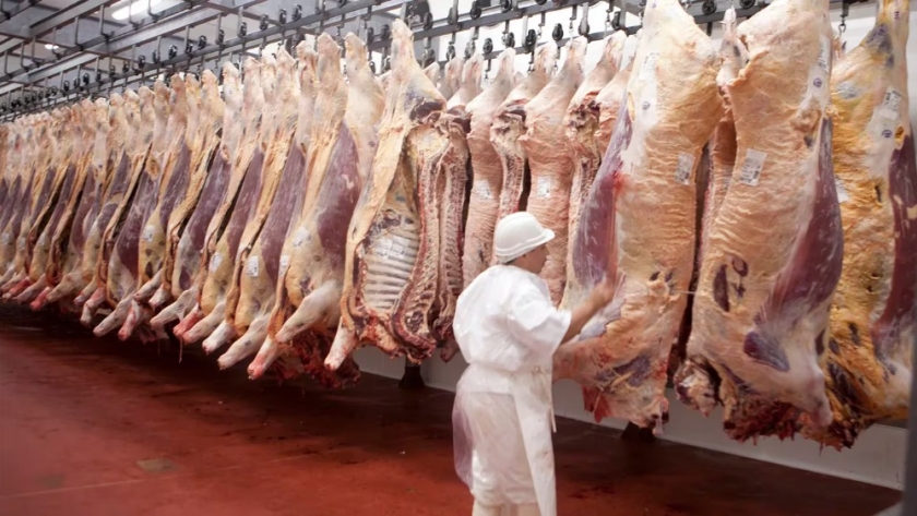 Bioeconomía derogó “normativas obsoletas” para simplificar la administración del sector agropecuario