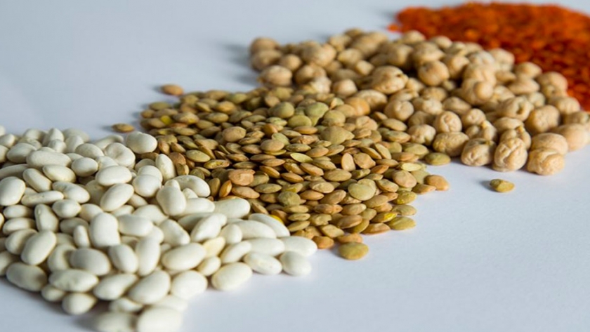 Tomorrow Food: valor agregado y alimentos vegetales 4.0 