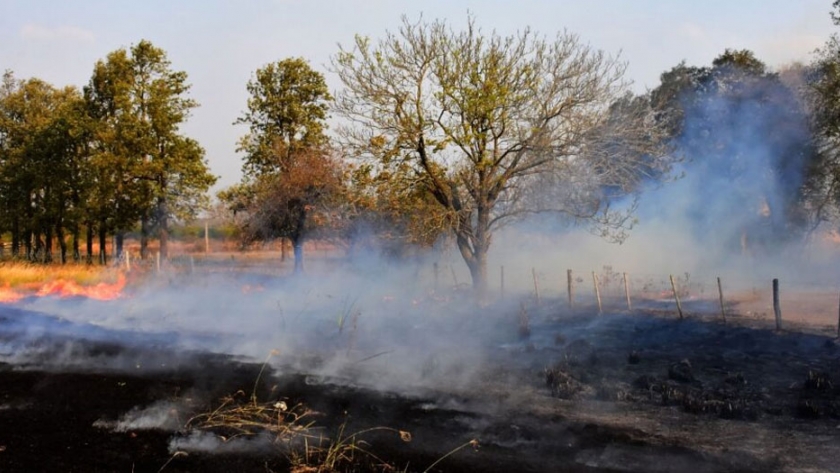 Intensa labor de Bomberos ante los incendios: "Estamos en una situación de emergencia"