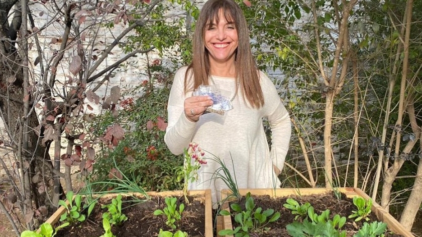 Los números de Huerta en tu Hogar: un programa en toda la provincia