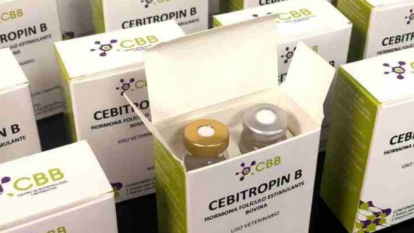 Corfo apoya la innovación para la ganadería del sur de Chile