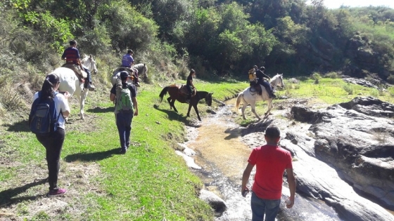 Guayamba: una propuesta turística para entrar en contacto con la naturaleza