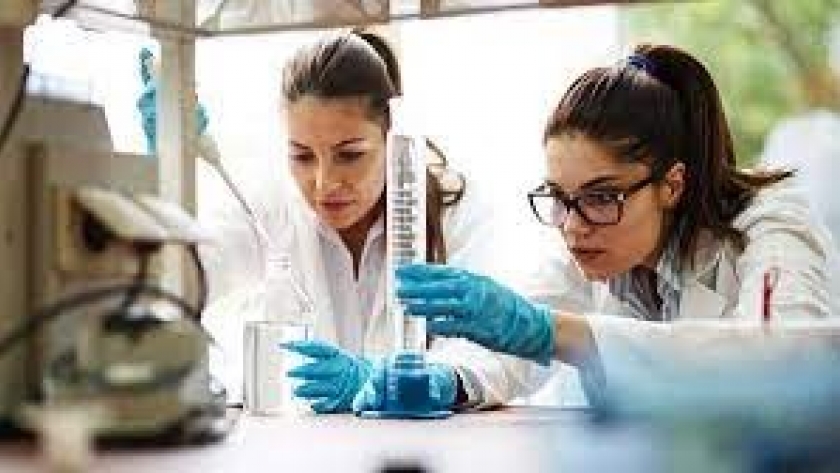 Nueva convocatoria a investigadoras e investigadores en ciencias sociales