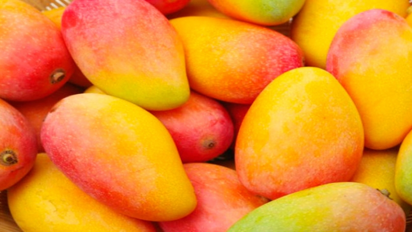 Los fruticultores en Escuinapa confían en superar producción del 2019