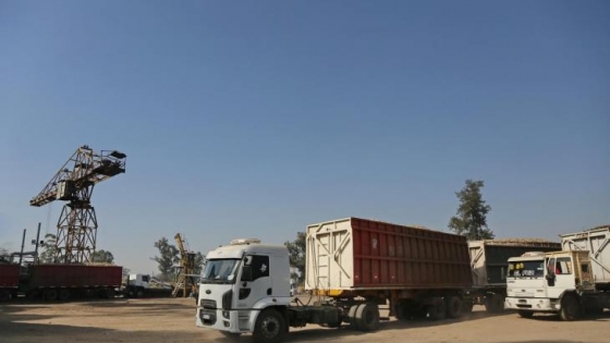 Zafra 2025: Avanza al 68% la cosecha de caña en Tucumán con fuerte crecimiento en producción de azúcar y alcohol