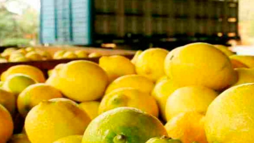 ¿Qué le piden los mercados internacionales a la fruta argentina?