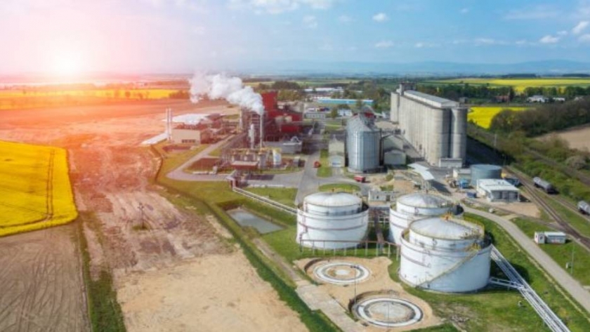 Límites y alcances de los agrocombustibles