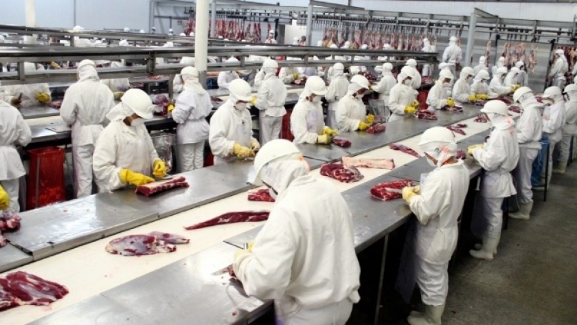 Los frigoríficos están de festejo: Las cámara empresarias “aplauden” la intención oficial de que haya un estándar sanitario único para la carne vacuna