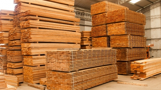 Exportaciones forestales argentinas crecen 18% y amplían su presencia global con más de 70 mercados